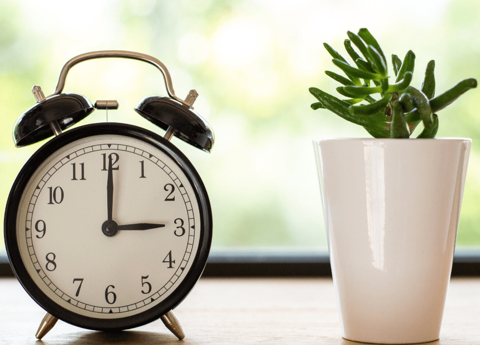 El valor del tiempo para un autónomo o freelance