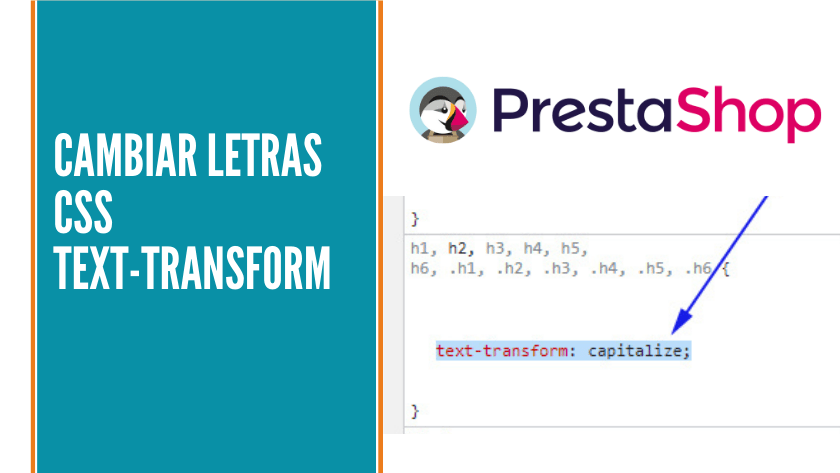 Cambiar el estilo de letra de plantilla en Prestashop: Text-transform